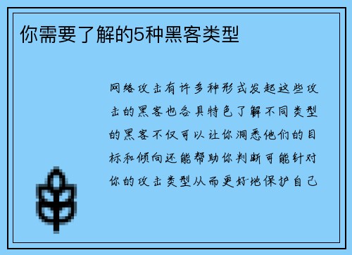 你需要了解的5种黑客类型 