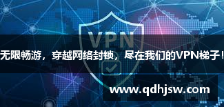 海鸥加速器官网无限畅游，穿越网络封锁，尽在我们的VPN梯子！